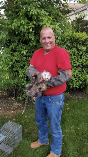 wildlife removal,nassau county,new york,animal,remove,pest,long island,raccoon,squirrel,opossum,birds,rats,mice,bats,skunks,groundhogs,service