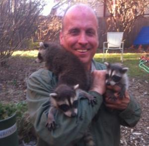wildlife removal,nassau county, long island,new york,raccoons,trap,remove,service